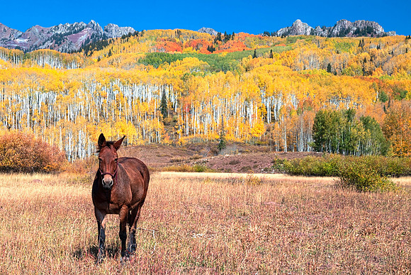 Horse Ranch Park below the Dyke