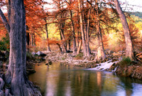 Serene setting on the North Prong of the Medina River