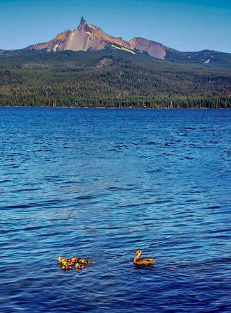 Mt Thielsen