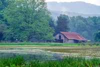 Old mill pond and barn at Boxley
