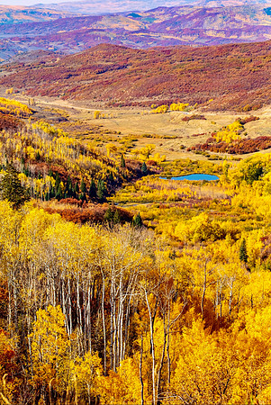 Aspens and Oaks near McClure Pass