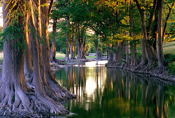 Guadalupe flowing slowly at Waring