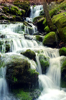 Moss Falls - Lost Valley Recreation Area