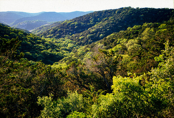 Dry Frio Creek Canyon
